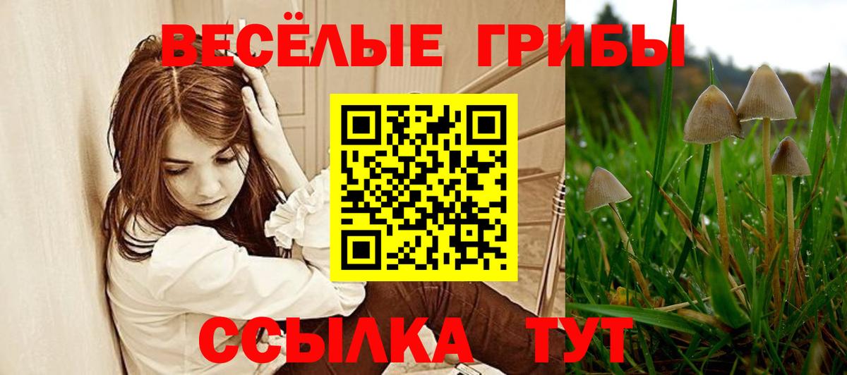 Галлюциногенные грибы мицелий  как найти закладки  Галлюциногенные грибы Psilocybe  Горно-Алтайск  Вход с VPN 