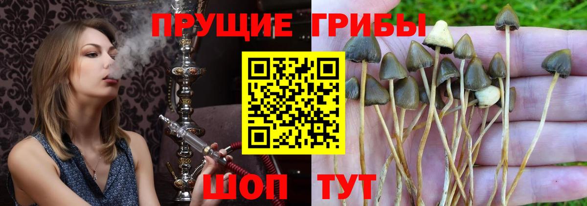 Горно-Алтайск  Вход с VPN  МАРИХУАНА  МЕТАМФЕТАМИН  Меф   Купить наркотики цена  Экстази  Cocaine  ГАШИШ  МЕФ 