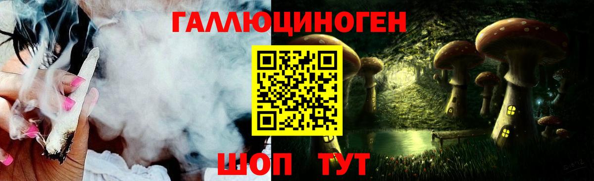 где купить наркоту  Горно-Алтайск  Псилоцибиновые грибы мицелий 